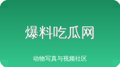 爆料吃瓜网